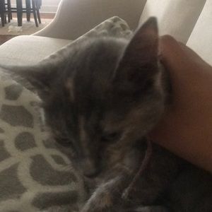 Meet your Posher, Mel